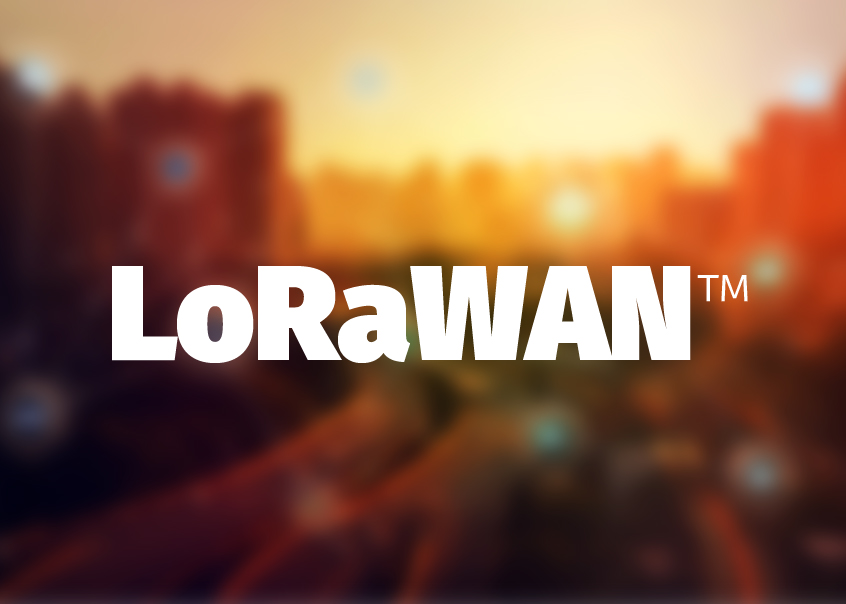 Elementy infrastruktury sieci LoRaWAN™ w ofercie firmy Gamma