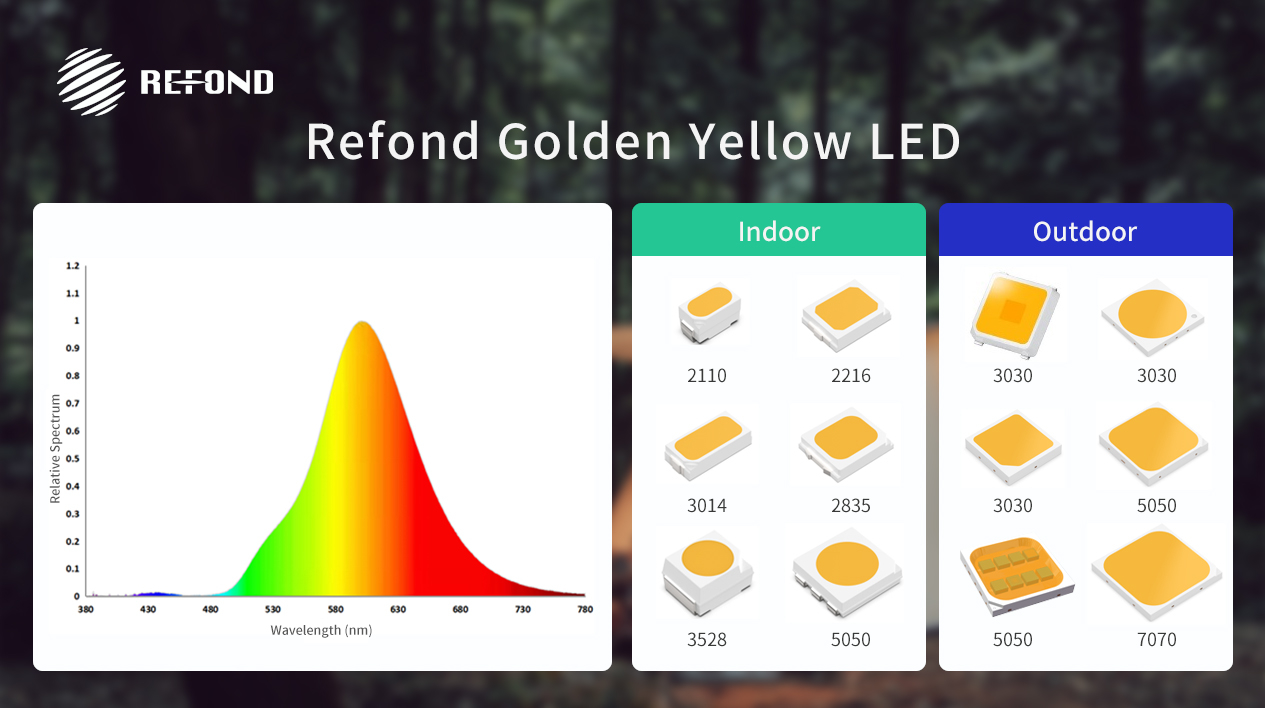 Dioda LED Golden Yellow firmy Refond Optoelectronics - nowy forma fizycznej ochrony przed komarami